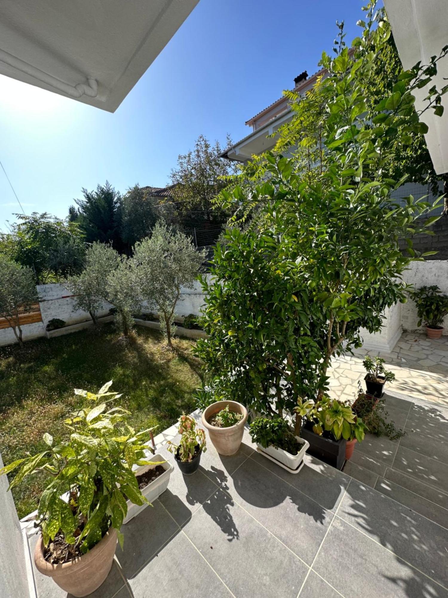 Villa Braho จีโรคาสเตอร์ ภายนอก รูปภาพ