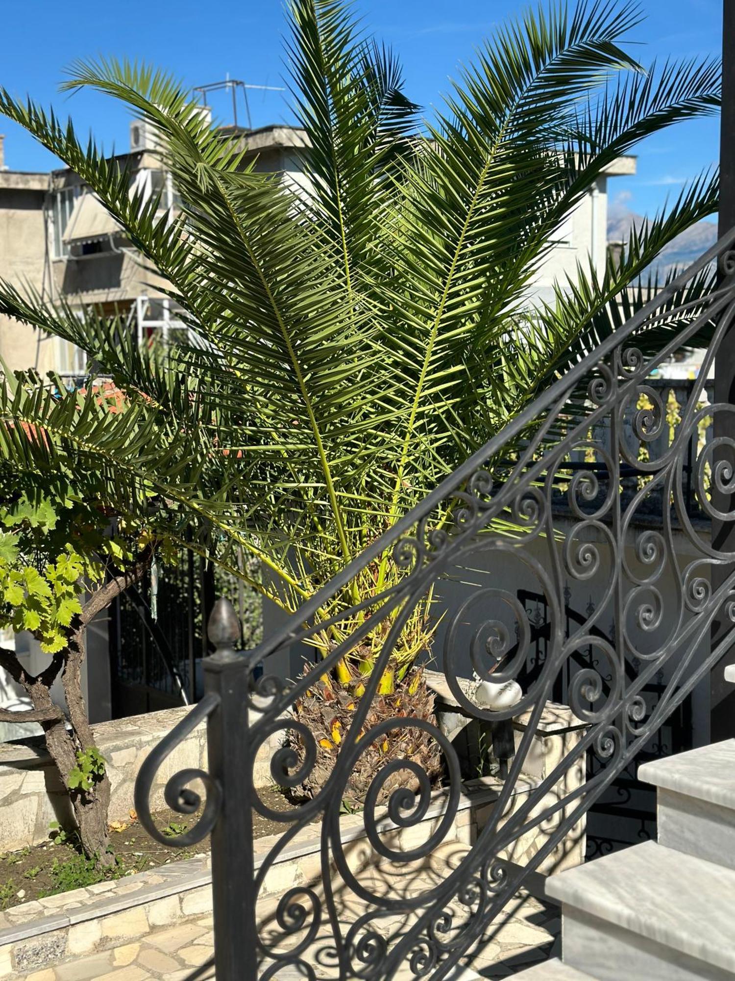 Villa Braho จีโรคาสเตอร์ ภายนอก รูปภาพ