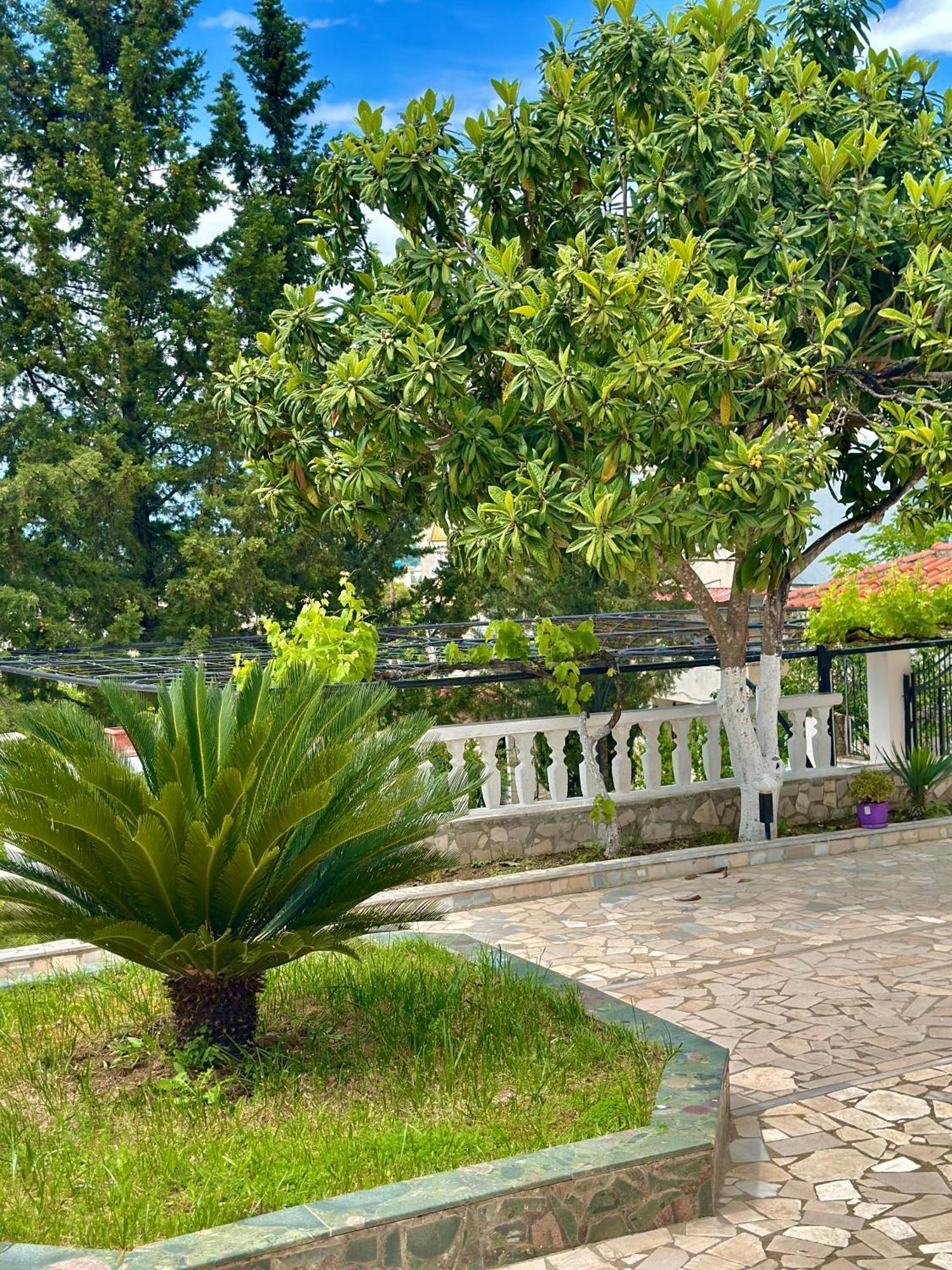 Villa Braho จีโรคาสเตอร์ ภายนอก รูปภาพ